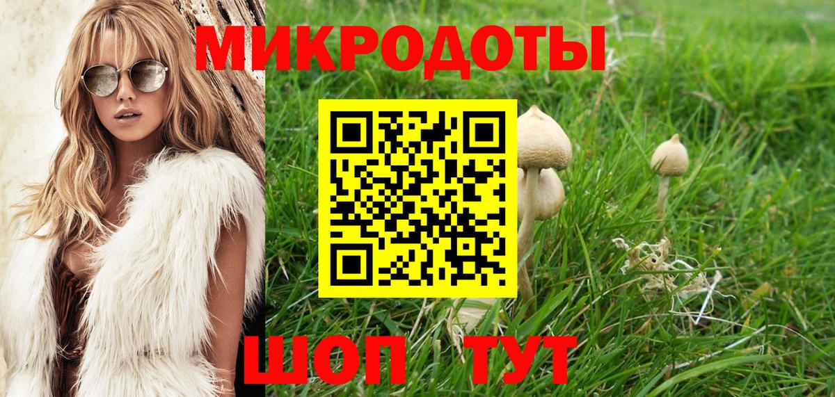 Псилоцибиновые грибы мицелий Кизилюрт